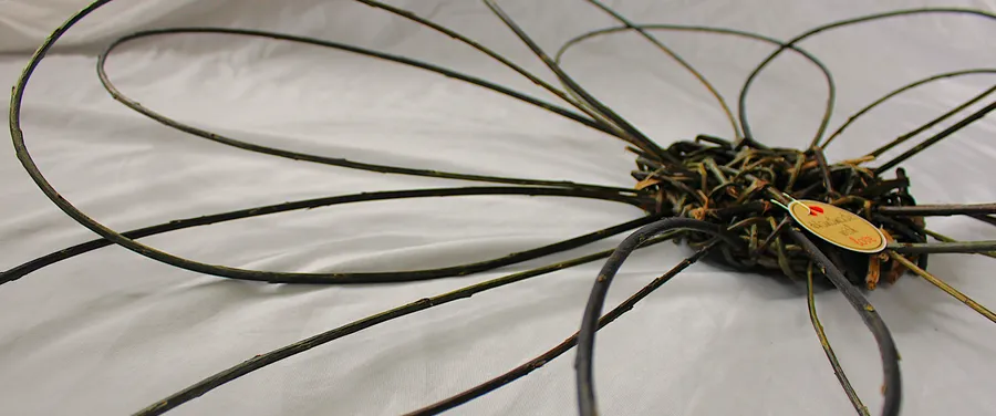 Close-up of the woven heart of a willow flower, petals sweeping outward on white linen