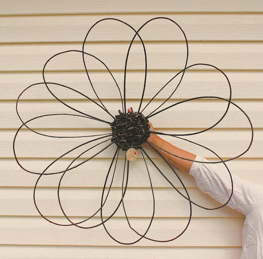 A giant double-petal willow flower held up against the farmhouse wall