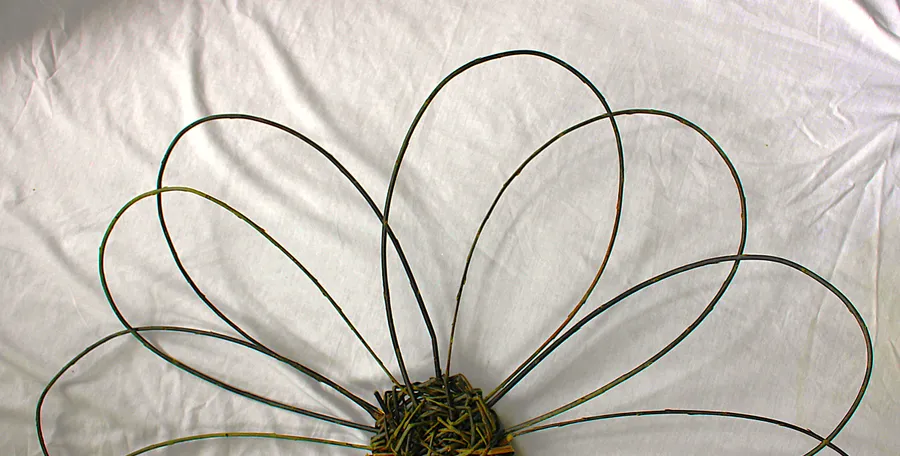 Looping willow petals resting on white linen